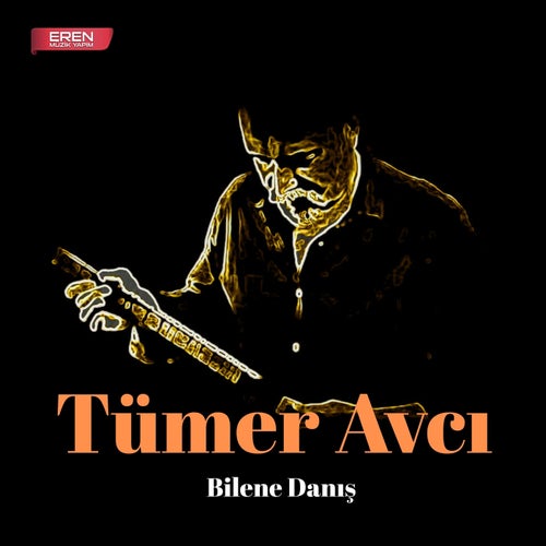Bilene Danış