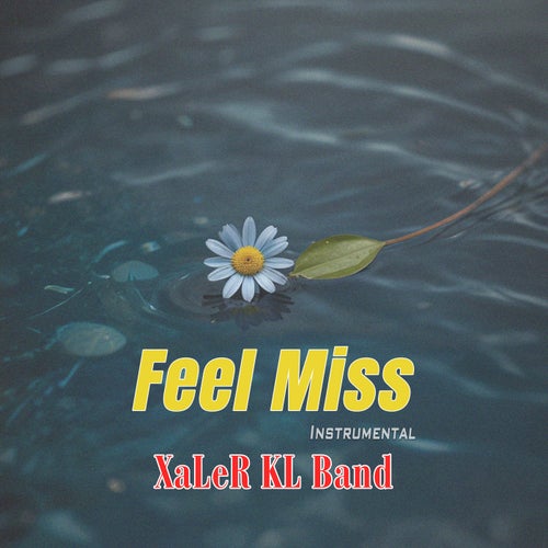 Feel Miss (Instrumental)