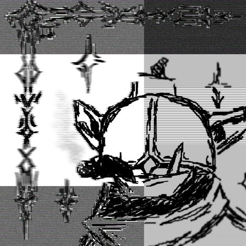 spleen