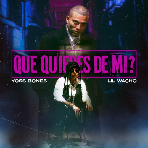 Qué Quieres De Mí?