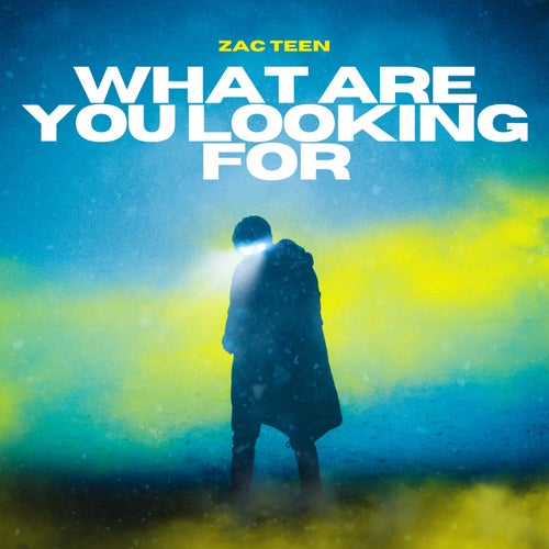 What are you Looking For