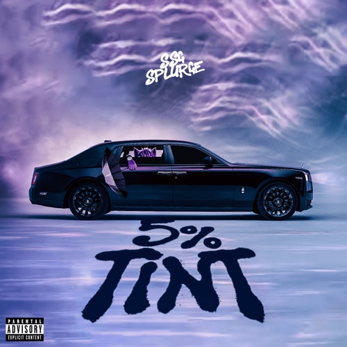 5% Tint