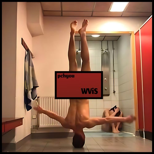 WViS
