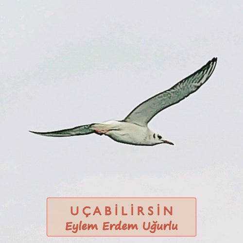 Uçabilirsin