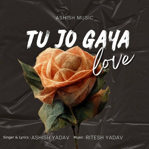 Tu Jo Gaya Love