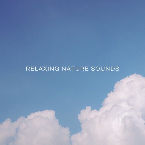 Relaxing Nature Sounds