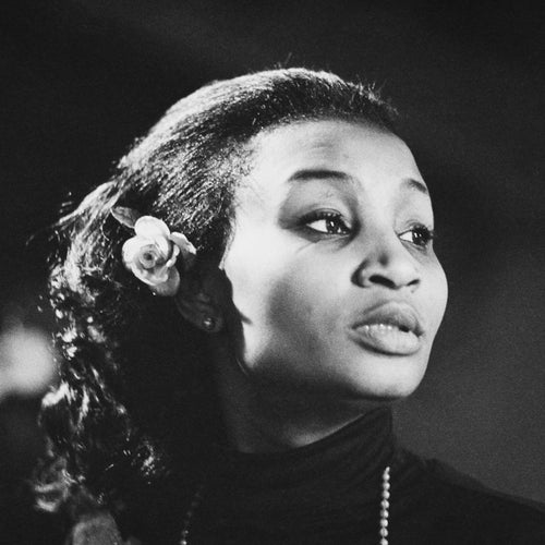 Viola Wills Profile