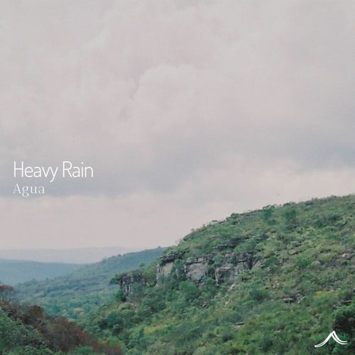 Release of the week