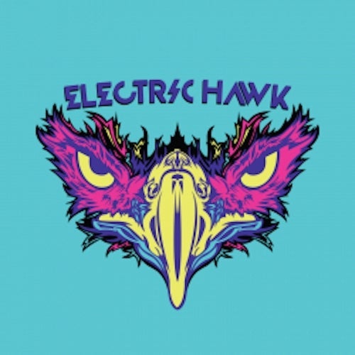 Electric Hawk Records Profile