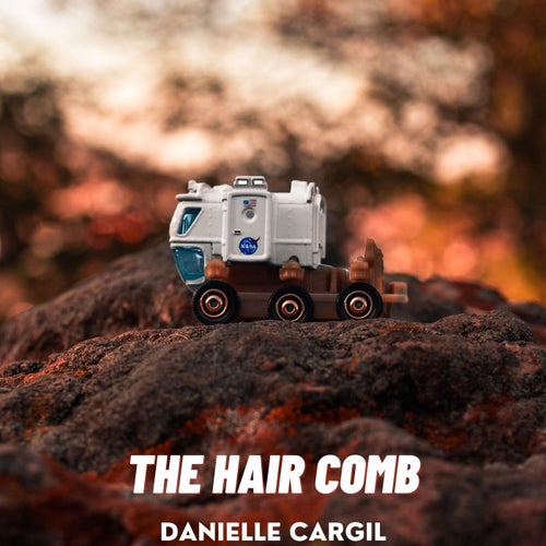 The Hair Comb