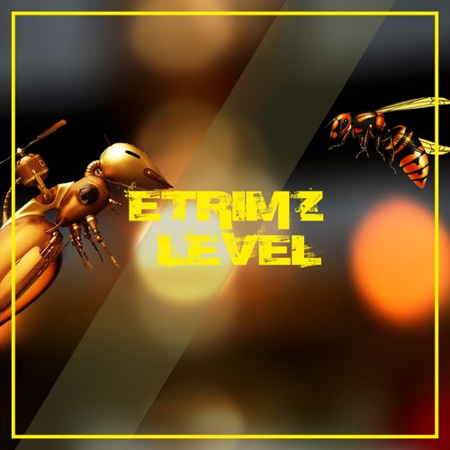Level